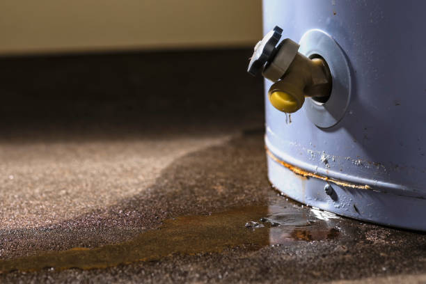 Best Ceiling water damage repair  in College Park, MD