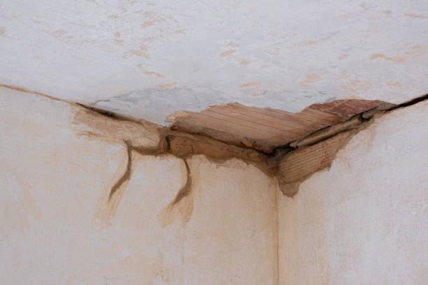 Best Emergency water damage restoration  in College Park, MD