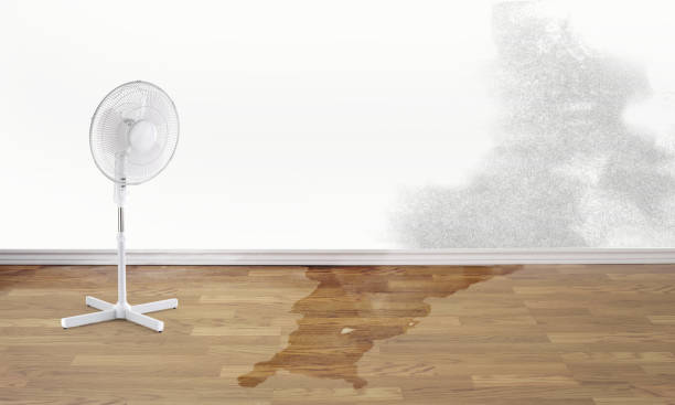 Best Fire Damage Restoration  in College Park, MD