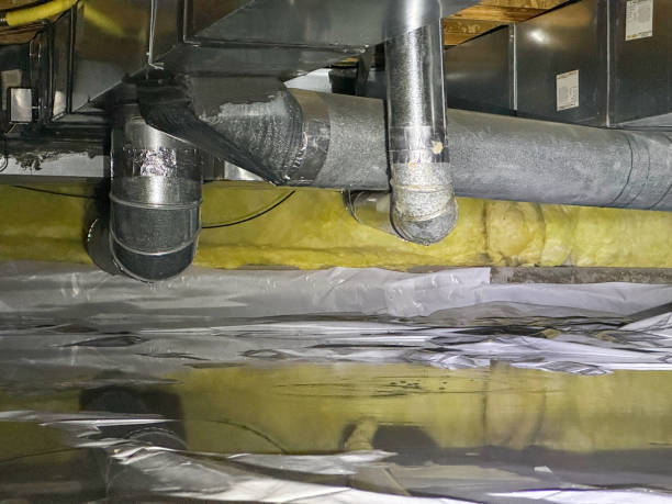 Best Carpet water damage restoration  in College Park, MD