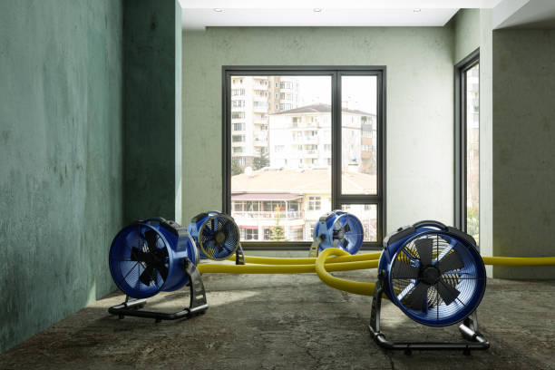 Best Sewage cleanup and water damage restoration  in College Park, MD